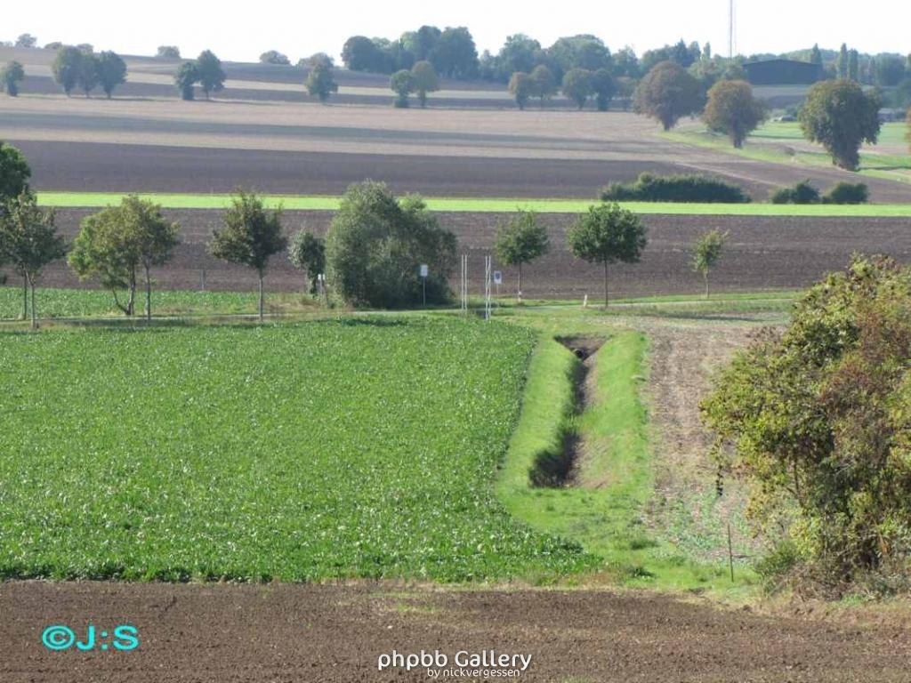 Grenzspuren b.Rhoden-Nordharz
