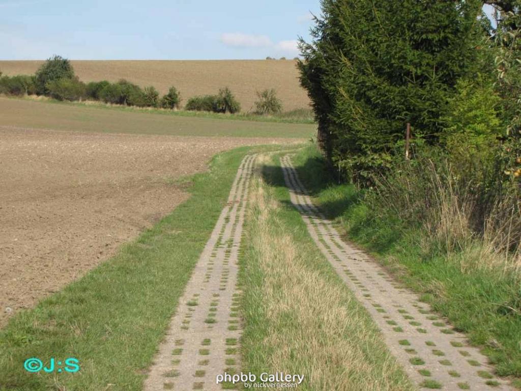 Grenzspuren b.Rhoden-Nordharz