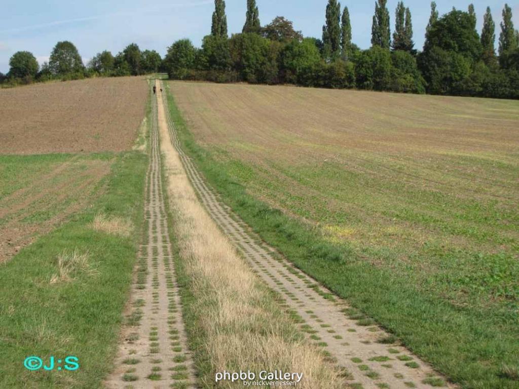 Grenzspuren b.Rhoden-Nordharz