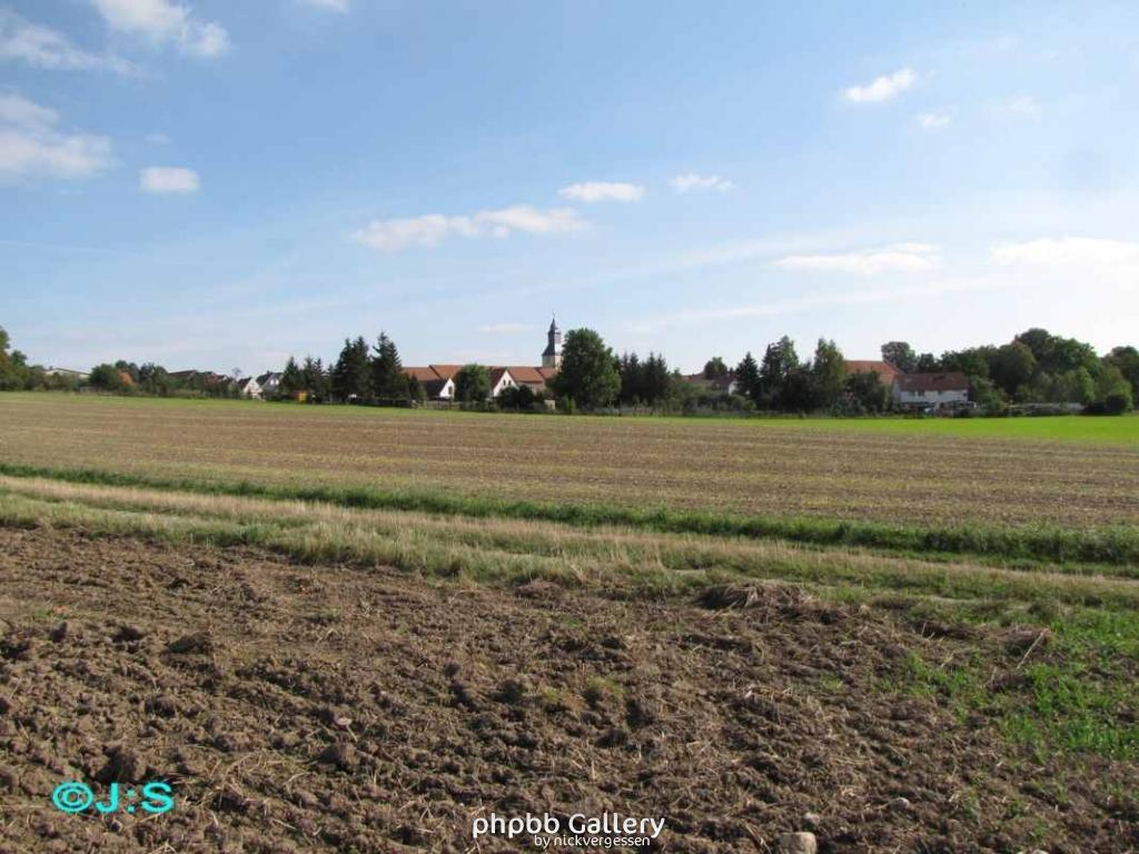 Grenzspuren b.Rhoden-Nordharz