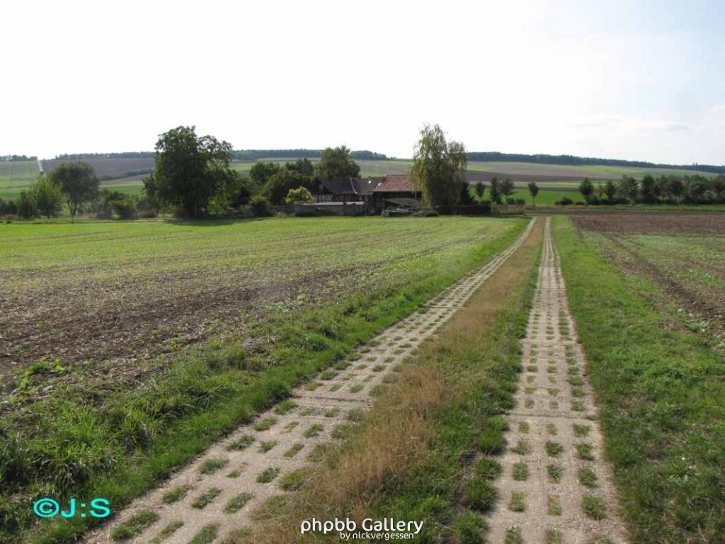 Grenzspuren b.Rhoden-Nordharz