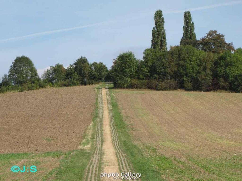 Grenzspuren b.Rhoden-Nordharz