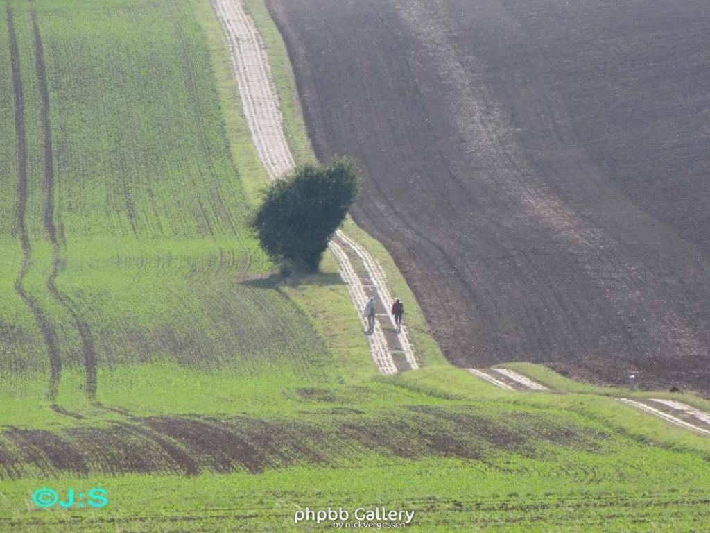 Grenzspuren b.Rhoden-Nordharz