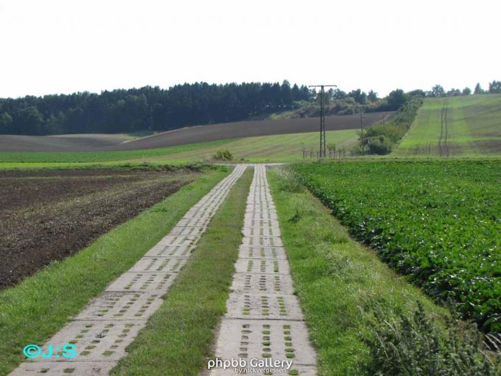 Grenzspuren b.Rhoden-Nordharz