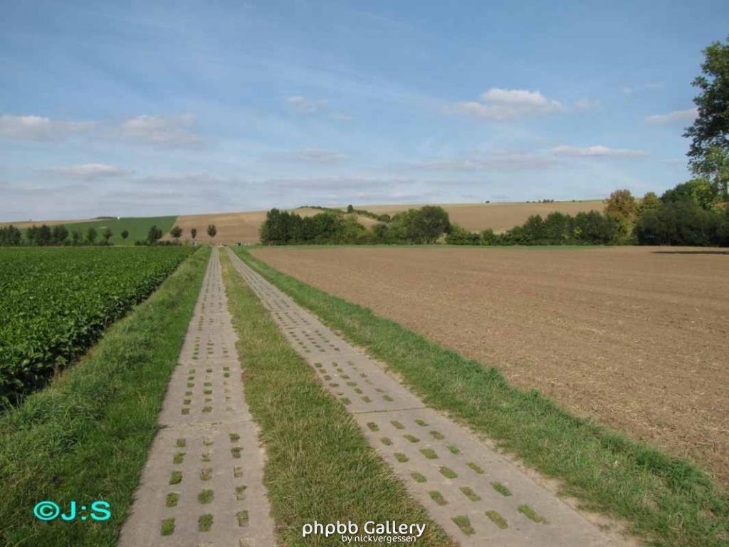 Grenzspuren b.Rhoden-Nordharz