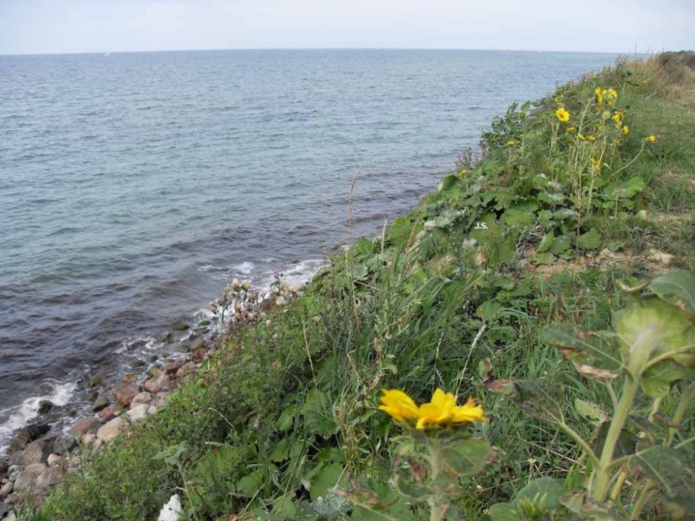 Rerik u.Insel Poel a.d. Ostsee 2009 August (20)