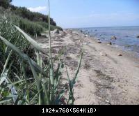 Rerik u.Insel Poel a.d. Ostsee 2009 August (43)