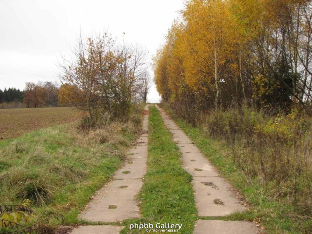7.11.09 Ehm.Grenze zw.Bartolfelde u. Bockelhagen-Südharz (12.