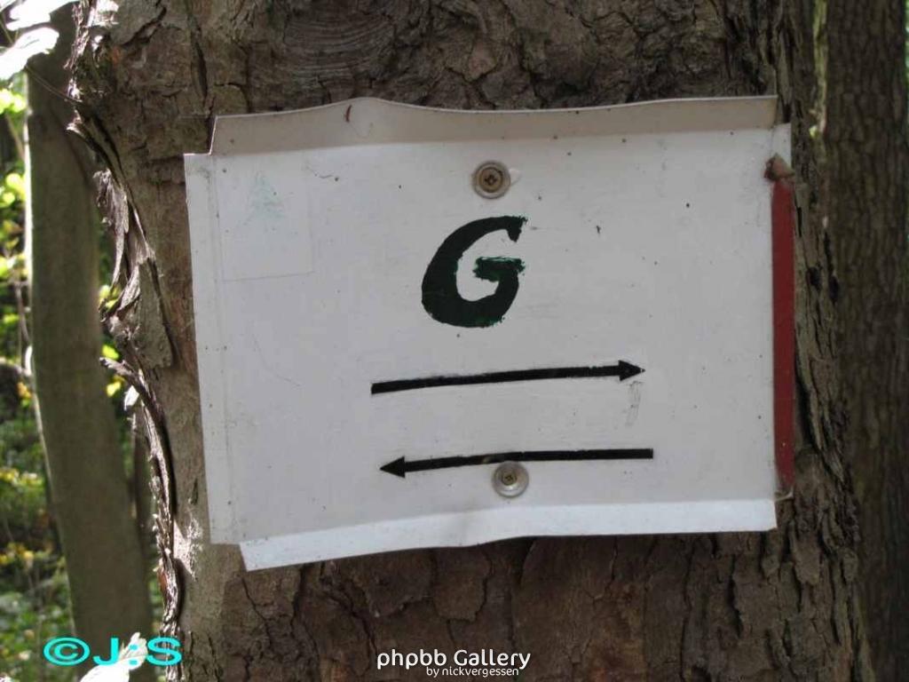 Grenzspuren bei Stapelburg Harz