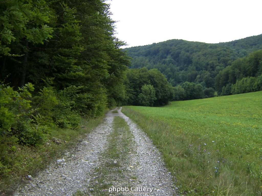 Doeringsdorf Keudelstein 31  08082010