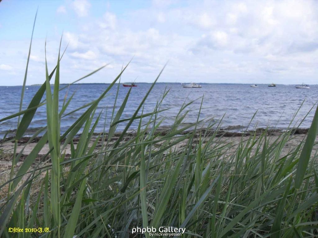 Ostsee-2010 (53)