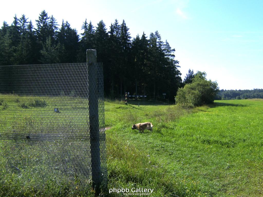 Freilandmuseum Behrungen 22  21082010