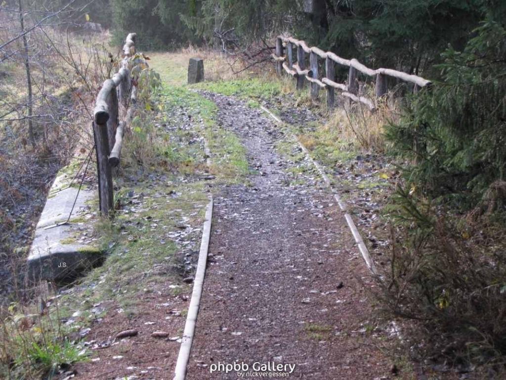 Grenze zwischen Sorge u.Braunlage Harz