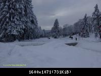 Harz 3.12.10 Bei Drei Annen Hohne (20)