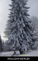 Harz 3.12.10 Bei Drei Annen Hohne (9)