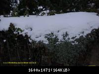 6.12.10 Winter in Blankenburg-Harz (12)