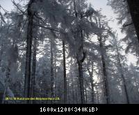 28.12.10 Rund um den Brocken-Harz (6)