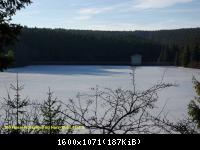 17.01.11 An der Hasselbachsperre-Harz-J.S. (33)