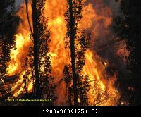 Osterfeuer im Harz 23.4 (2)