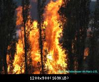 Osterfeuer im Harz 23.4 (5)