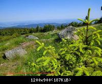 4.6.11 Brocken Harz Wanderung (19)