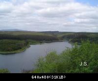 Harz-Sommer Rappbodestausee (4)