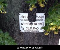 Grossensee 17 280609