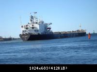 Schiffe die Warnemünde anliefen 2008/09
