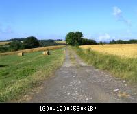 Huelfensberg 16  18072010