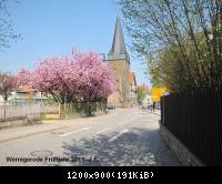 20.04.11 Wernigerode Frühjahr (11).
