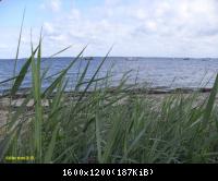 Ostsee-2010 (53)