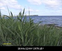 Ostsee-2010 (52)