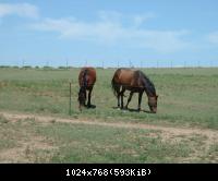 Marchel Ranch, Dodge City, Kansas