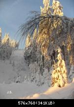 Wijnter 2010 im Harz