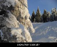 Wijnter 2010 im Harz