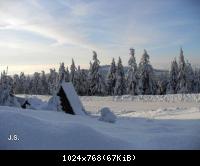 Wijnter 2010 im Harz