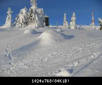 Wijnter 2010 im Harz