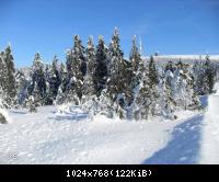 Winter 2010 im Harz
