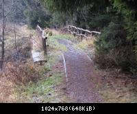 Grenze zwischen Sorge u.Braunlage Harz