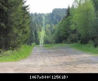 29.5.10 Ehm.inn.Dt Grenze im Harz (8)