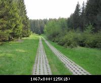 29.5.10 Ehm.inn.Dt Grenze im Harz (13)