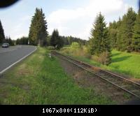 29.5.10 Ehm.inn.Dt Grenze im Harz (18)