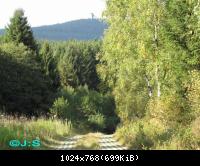 Kolonnenweg-Grenzspuren im Harz