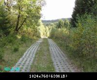 Kolonnenweg-Grenzspuren im Harz