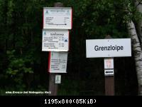 24.6.10 eh.Grenze b.Hohegeiss-Harz (5)