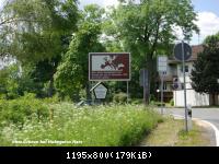 24.6.10 eh.Grenze b.Hohegeiss-Harz (13)