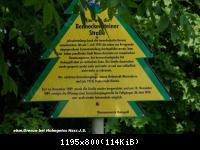 24.6.10 eh.Grenze b.Hohegeiss-Harz (15)
