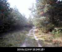 Palingen-Grenz-und Kolonnenweg 2009