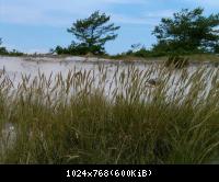 Zingst auf Fischland